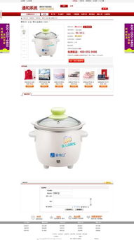 專業開發大型B2C與C2C電子商務系統及ERP系統 構建企業數字化轉型的堅實基座